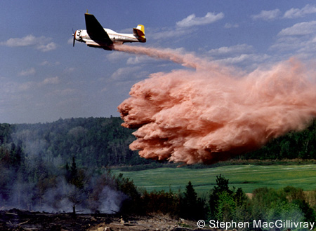 Water Bomber