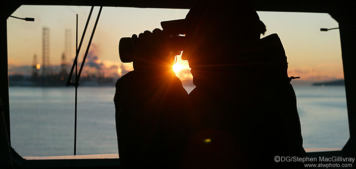 Watching the harbour