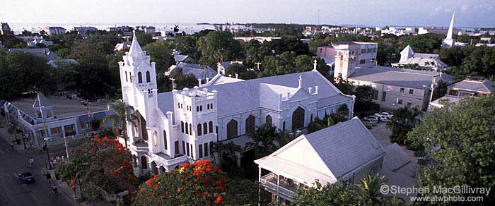 View from Conch