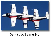 Snowbirds