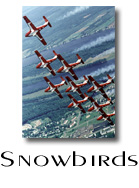 Snowbirds